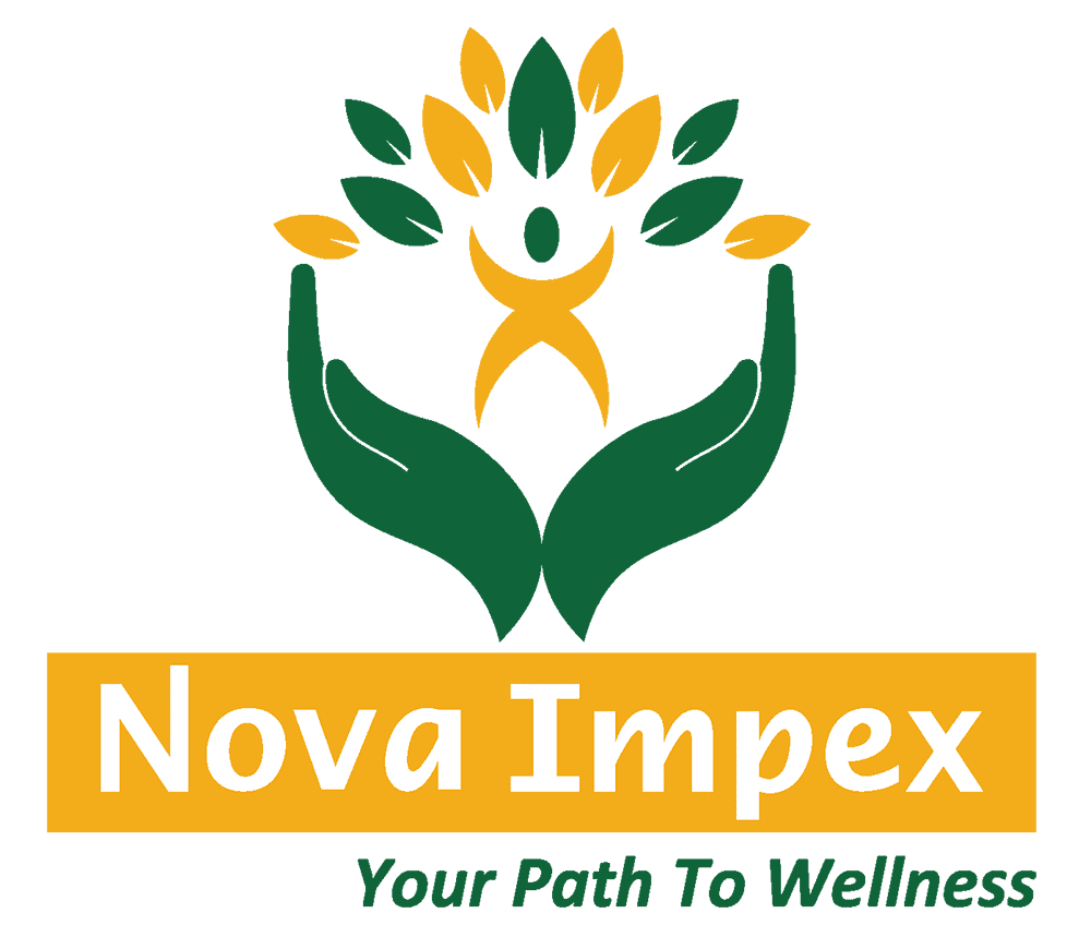 Nova Impex logo