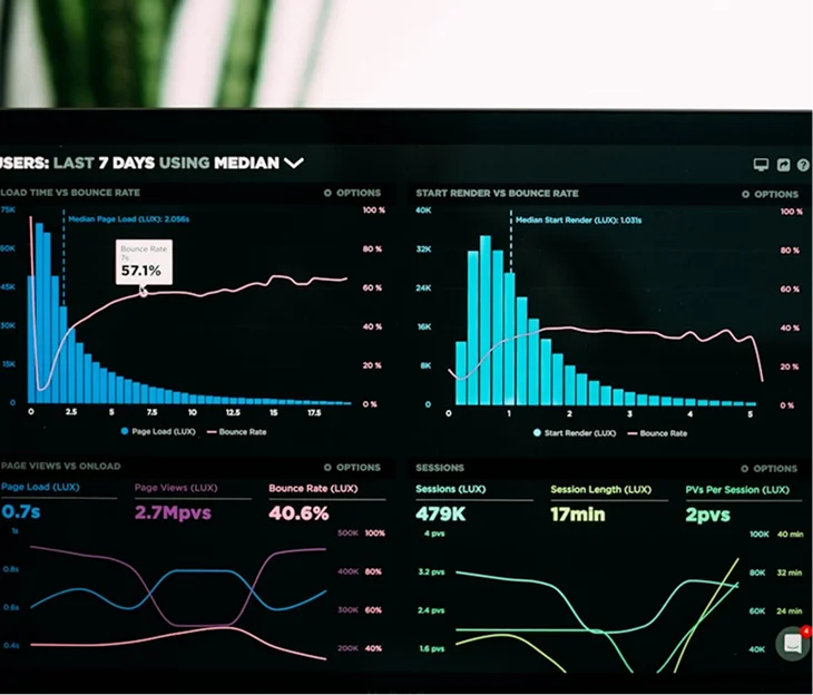 Digital growth project preview